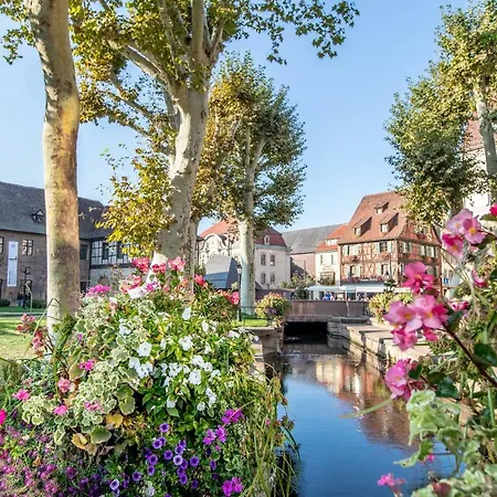 Welcome Colmar
